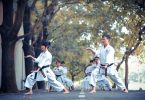 Différence entre le karaté et le kung-fu